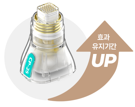 효과 유지기간 UP