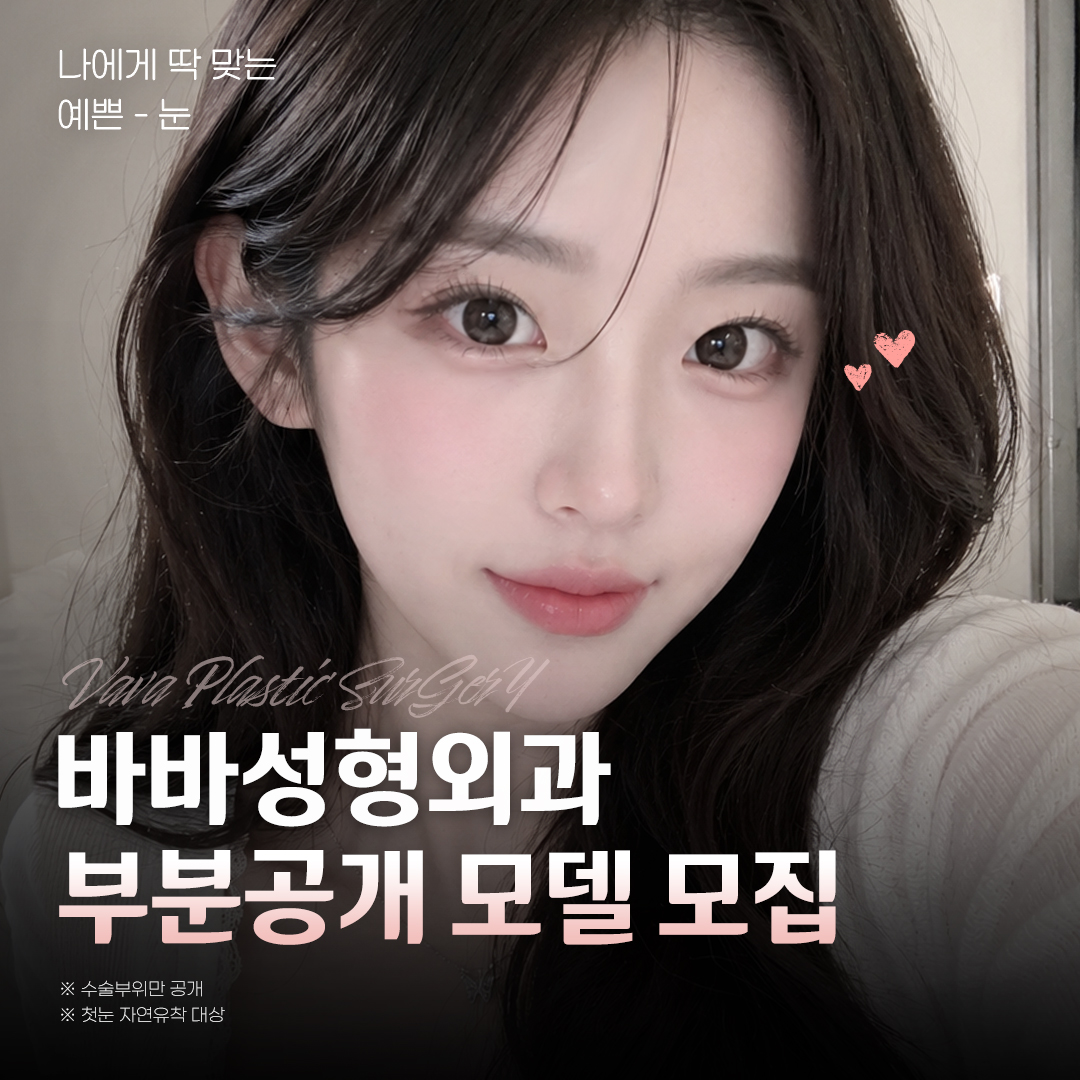 부분공개 모델모집
